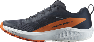 Sneakers och skor Salomon SENSE RIDE 5 GTX Svart | l47459400, 5