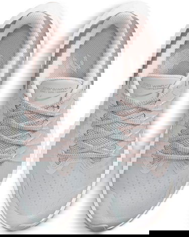 Sneakers och skor Nike Winflo 8 Premium W Grå | da3056-001, 3