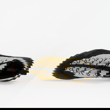 Sneakers och skor Salomon ALPINWAY ADVANCED Paleol/ Black/ Ice Beige | L47859600, 3