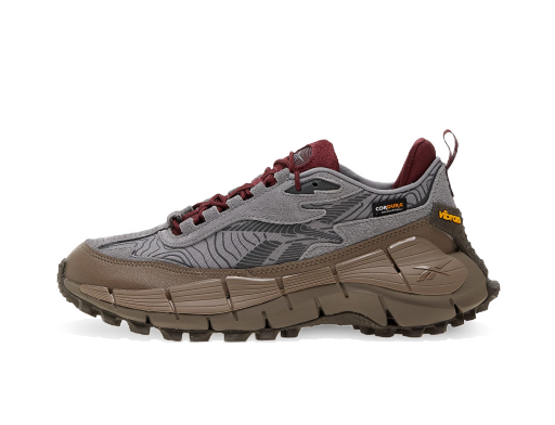 Löpning Reebok Zig Kinetica 2.5 Edge "Pure Grey 5/ Track Grey/ Pure Grey" Grå | 100034215