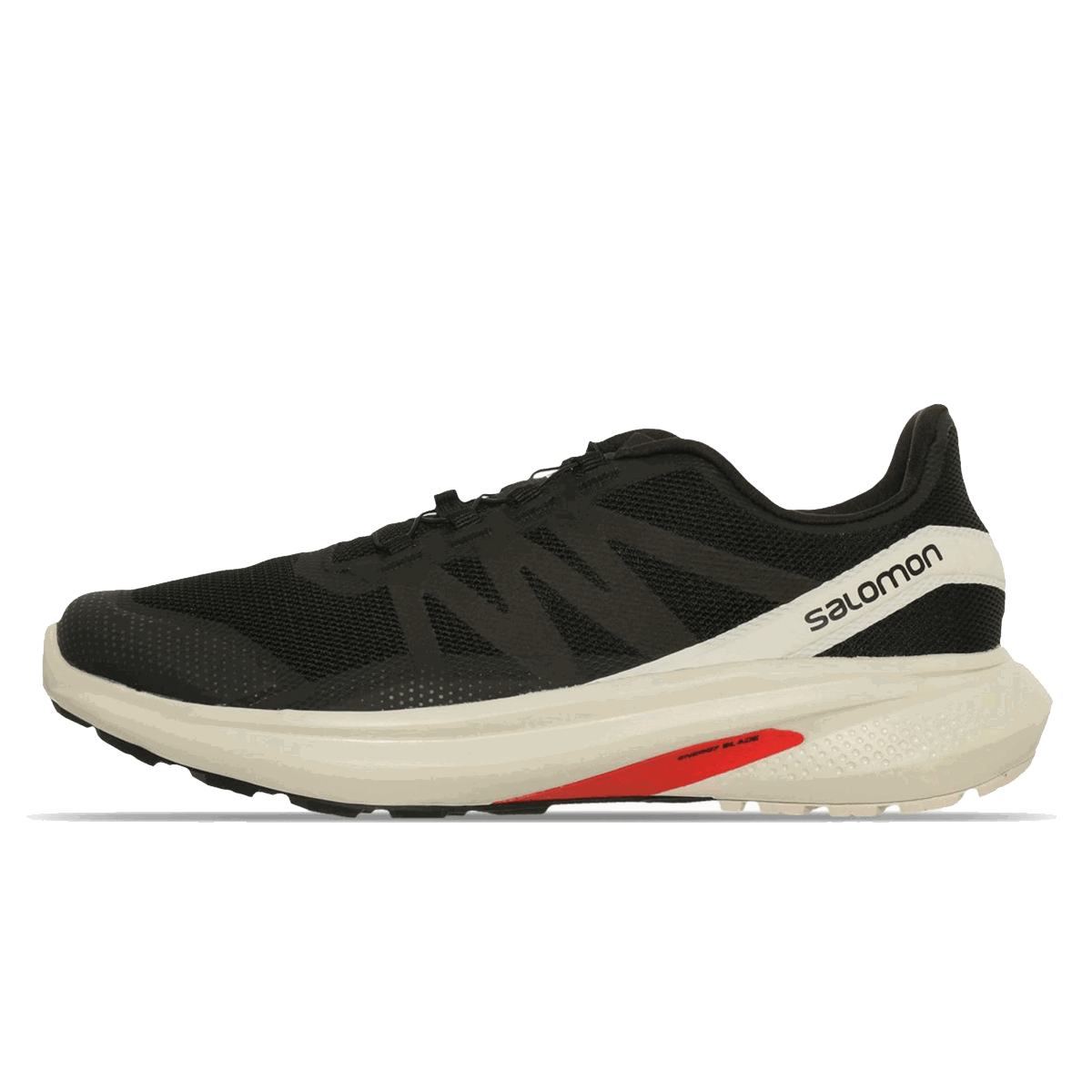 Sneakers och skor Salomon HYPULSE Svart | L41684900, 0