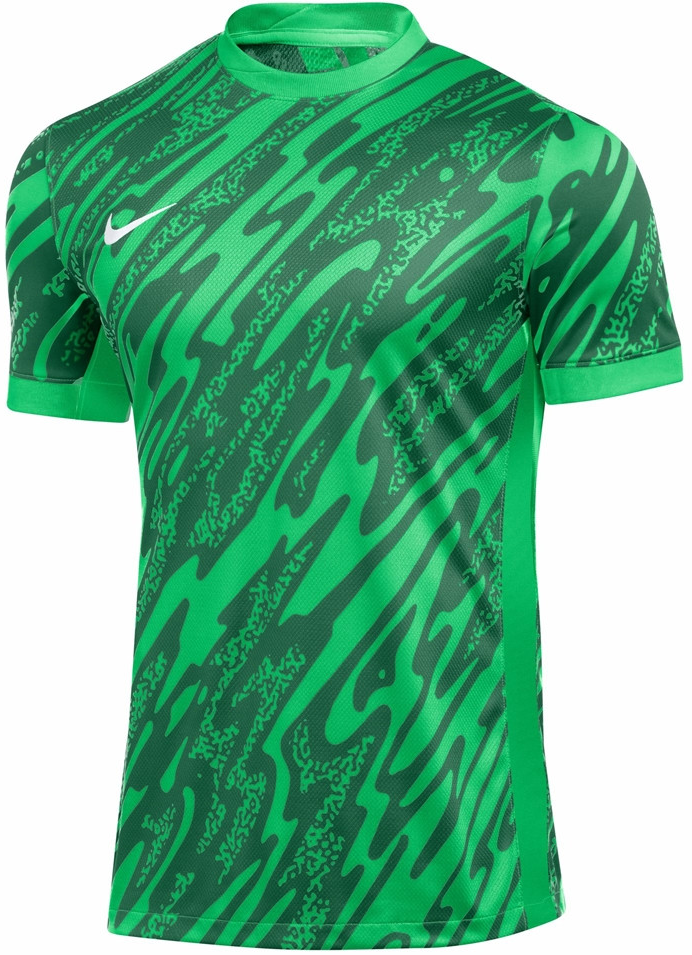 Jersey Nike Nike Gardien V GK Soccer Jersey Grön | fd7482-329