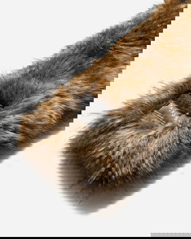 Halsduk Maison Margiela Faux Fur Scarf Brun | SH0TE0001 001F, 4