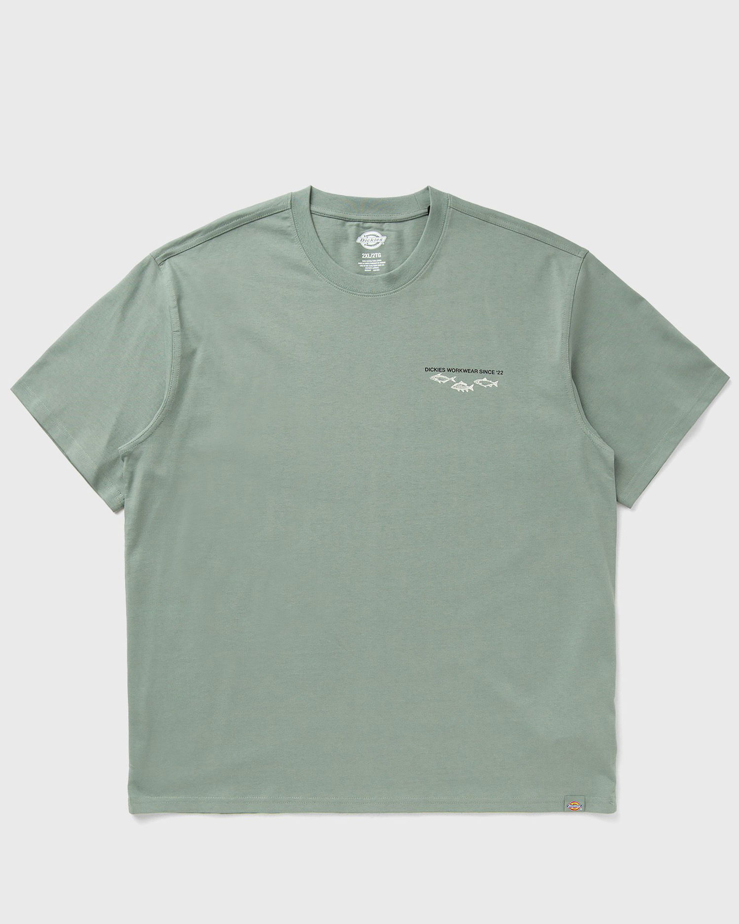 T-shirt Dickies Laryville Graphic Short Sleeve T-Shirt Grön | DK0A87QGL191, 0