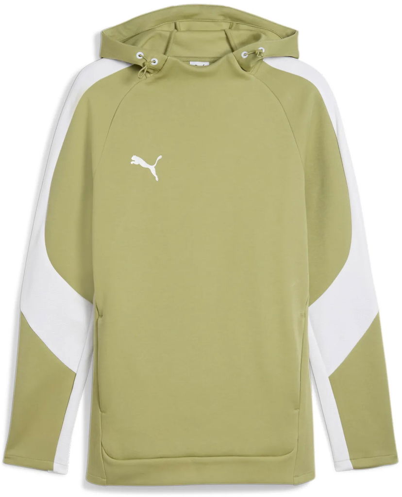 Sweatshirt Puma Puma teamEvostripe Hoodie Grön | 659954-40