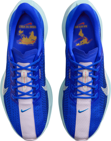 Sneakers och skor Nike Pegasus Plus Premium Blå | hq1719-400, 2