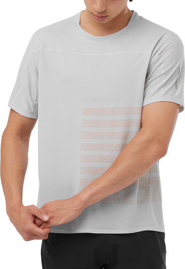 T-shirt Salomon SENSE AERO SS TEE GFX M Grå | lc2188700, 0