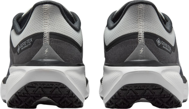 Sneakers och skor Nike Pegasus 41 GORE-TEX Svart | fq1356-002, 1