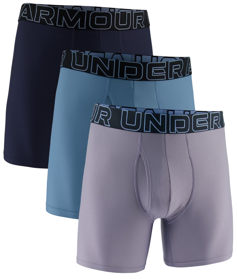 Boxare Under Armour Under Armour SOLID 6in 3-Pack Boxer Shorts Flerfärgad | 1383884-024
