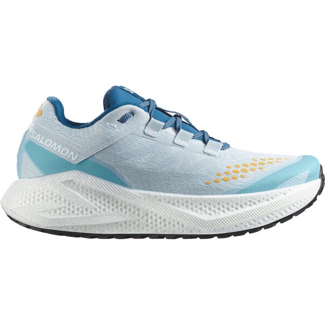 Sneakers och skor Salomon Aero Glide 3 Grvl Blå | L47811800