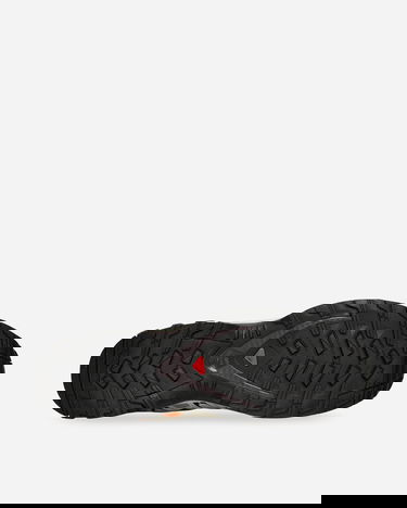 Tillbehör Salomon XA PRO 3D Beige | L47867700, 5