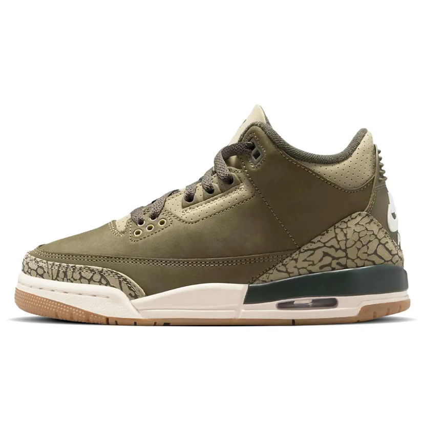 Sneakers och skor Jordan Air Jordan 3 Retro "Family Affair" Grön | DN3707-202