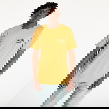 T-shirt Horsefeathers Horsefeathers Summit T-Shirt Gul | SM1386A, 1