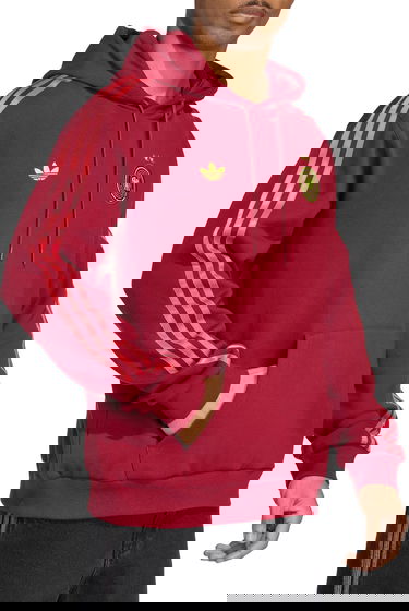 Sweatshirt adidas Originals adidas Originals DFB Hoodie Bourgogne | jj2738, 3