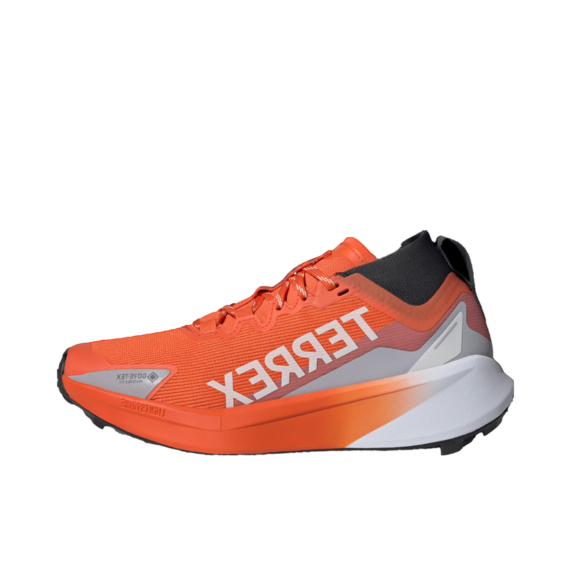 Sneakers och skor adidas Performance Terrex Agravic GTX Orange | jr5248
