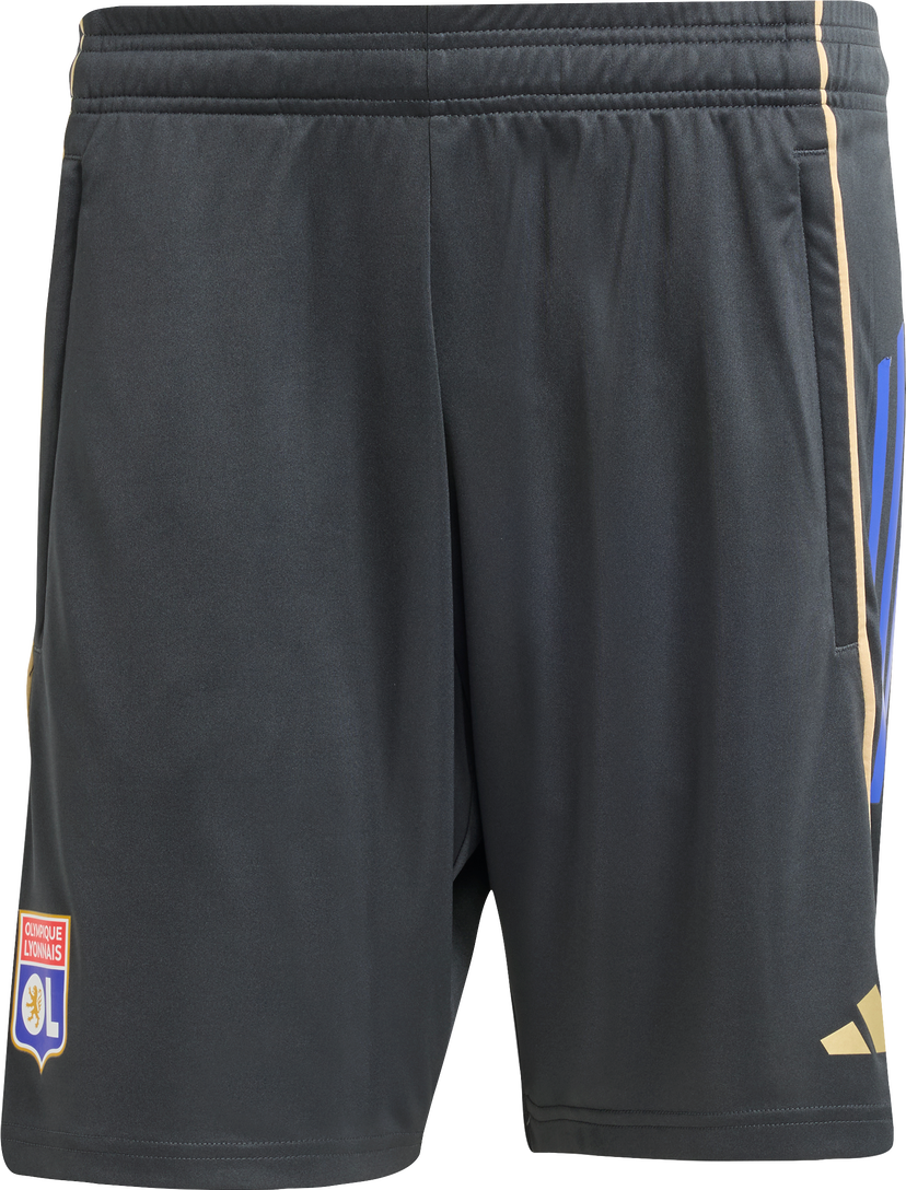 Shorts adidas Originals Olympique Lyonnais Training Shorts 2025/26 Grå | jl9410