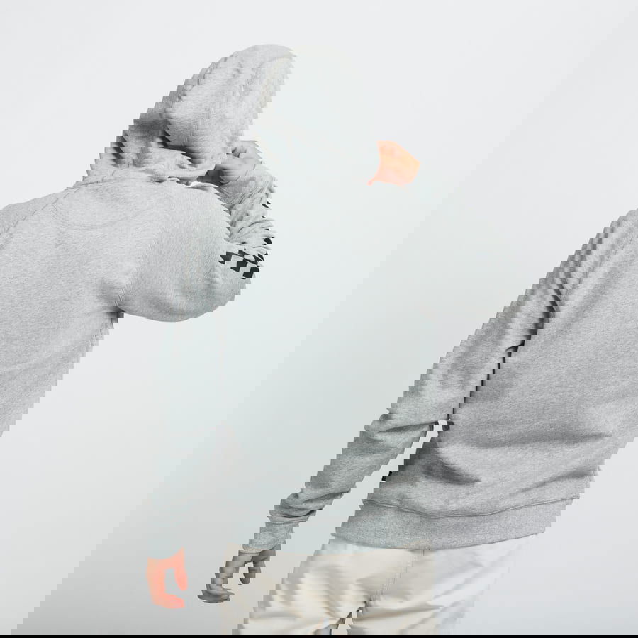 Sweatshirt Vans Versa Standart Hoodie Grå | VN0A49SNZU81, 1