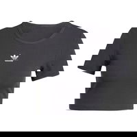 Essentials Ribbed Crop T-Shirt