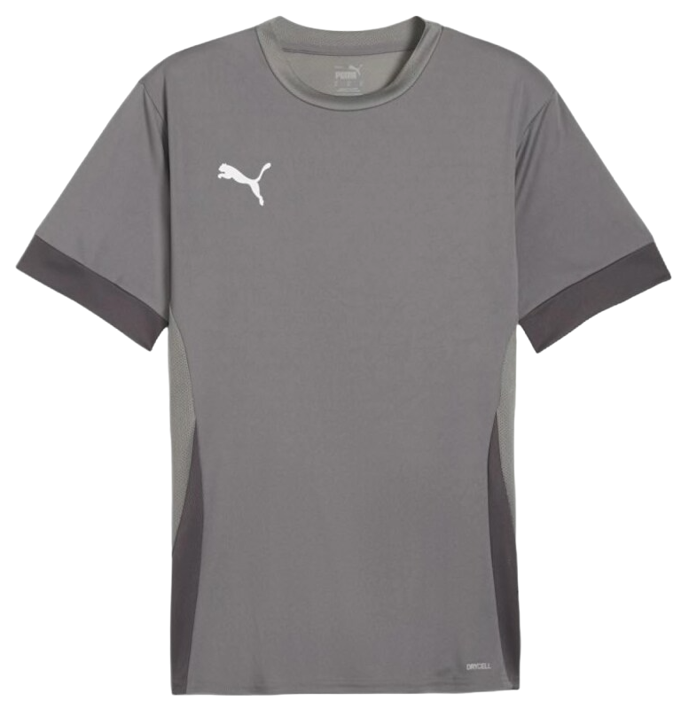 Jersey Puma teamGOAL Matchday Jersey Grå | 705747-13, 0