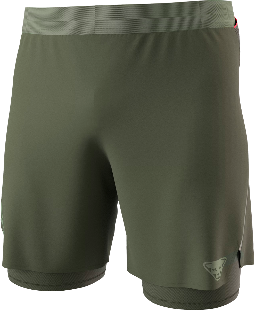Shorts Dynafit ALPINE PRO 2/1 SHORTS Grön | 08-0000071642-5561, 0