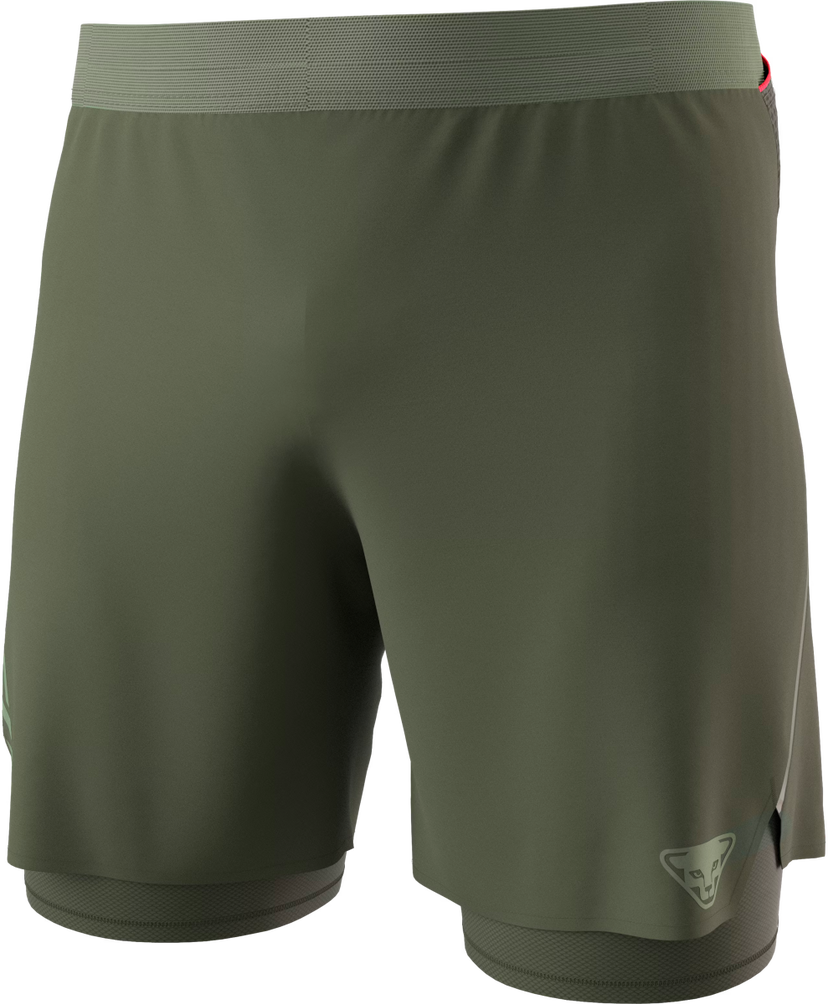 Shorts Dynafit ALPINE PRO 2/1 SHORTS Grön | 08-0000071642-5561