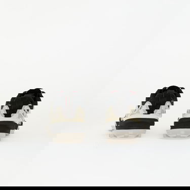 Sneakers och skor adidas Performance Terrex Skychaser GORE-TEX Hiking Shoes Beige | IH2802, 4