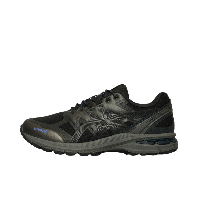Sneakers och skor Asics GEL-Terrain GTX Svart | 1203A457-020