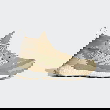 Sneakers och skor adidas Performance Terrex Free Hiker Gore-Tex Beige | GV7515, 0