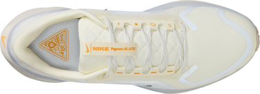 Sneakers och skor Nike Pegasus 41 GORE-TEX Beige | fq1356-102, 2