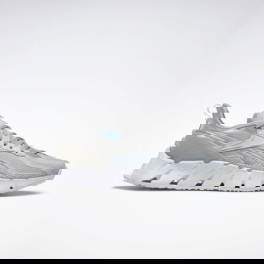 Sneakers och skor Reebok Zig Kinetica 3 Grå | HR1318, 0