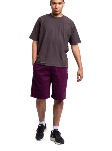 Shorts Stüssy Brushed Beach Short Purpur | 112282