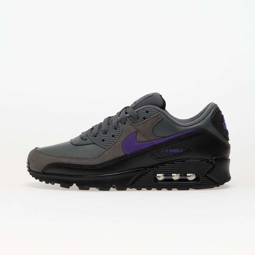 Sneakers och skor Nike Air Max 90 Purpur | IF0670-004