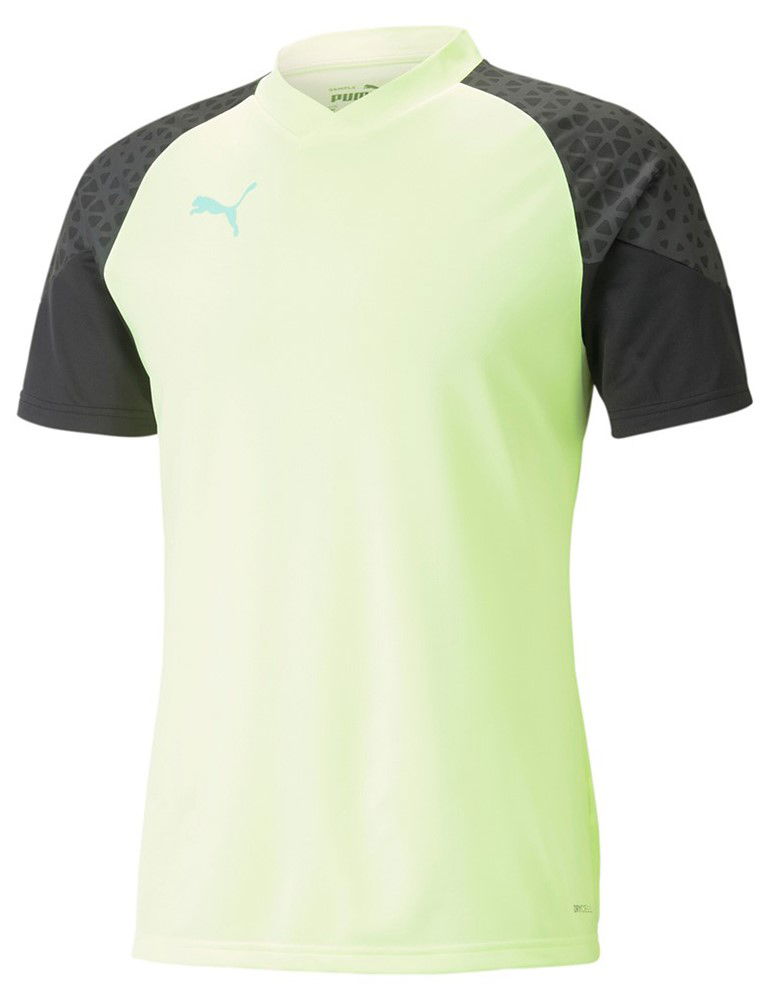 Jersey Puma IndividualCUP Jersey Grön | 658289-51, 0