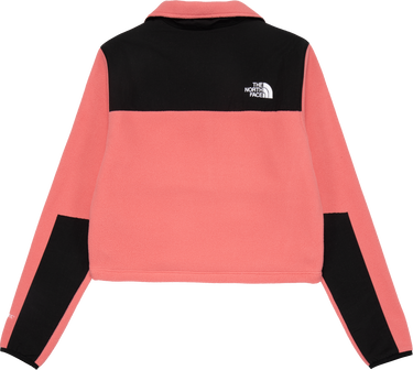 Sweatshirt The North Face Sweatshirt Rosa | NF0A7WXYN0T1, 1