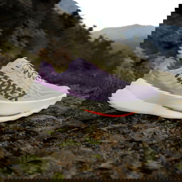 Sneakers och skor adidas Performance Terrex Agravic Speed Ultra Purpur | jq1616, 5