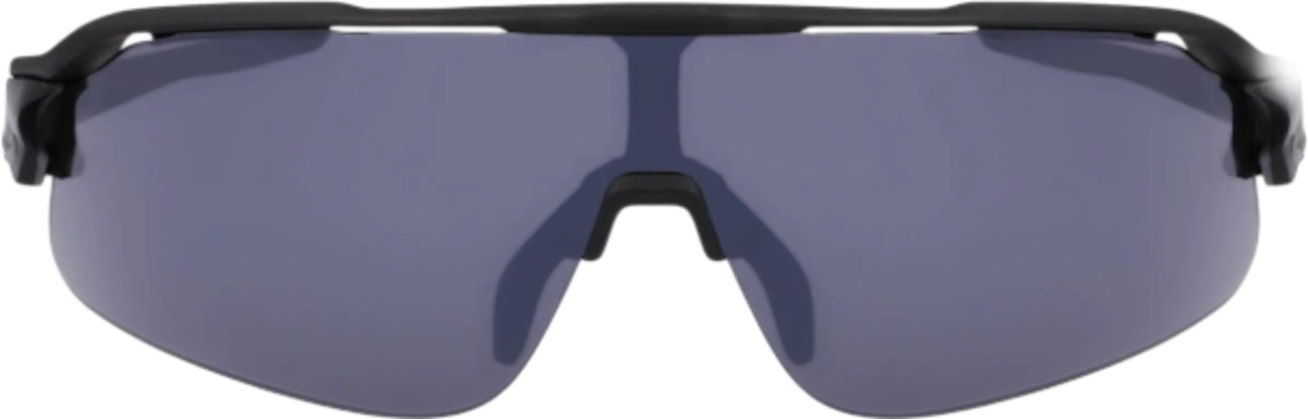 Solglasögon Nike Flyfree Shield Sunglasses Grå | ev24033-010, 1