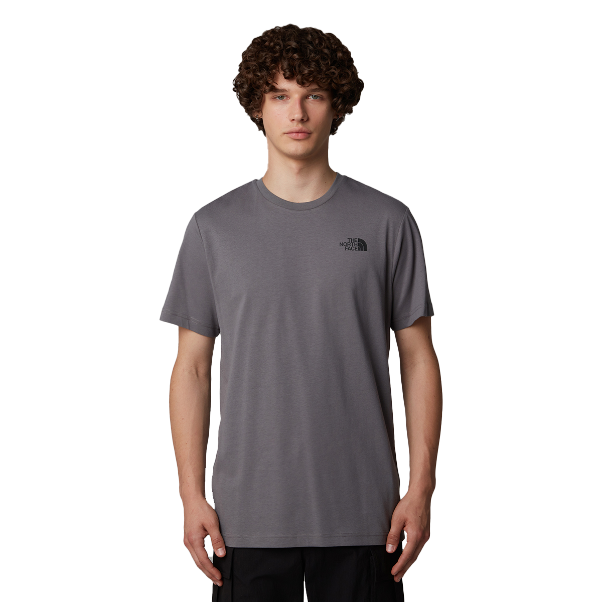 T-shirt The North Face Celebration T-Shirt Grå | NF0A87NV0UZ1, 0
