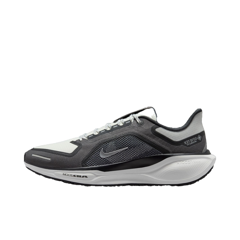 Löpning Nike Pegasus 41 GORE-TEX Svart | fq1356-002
