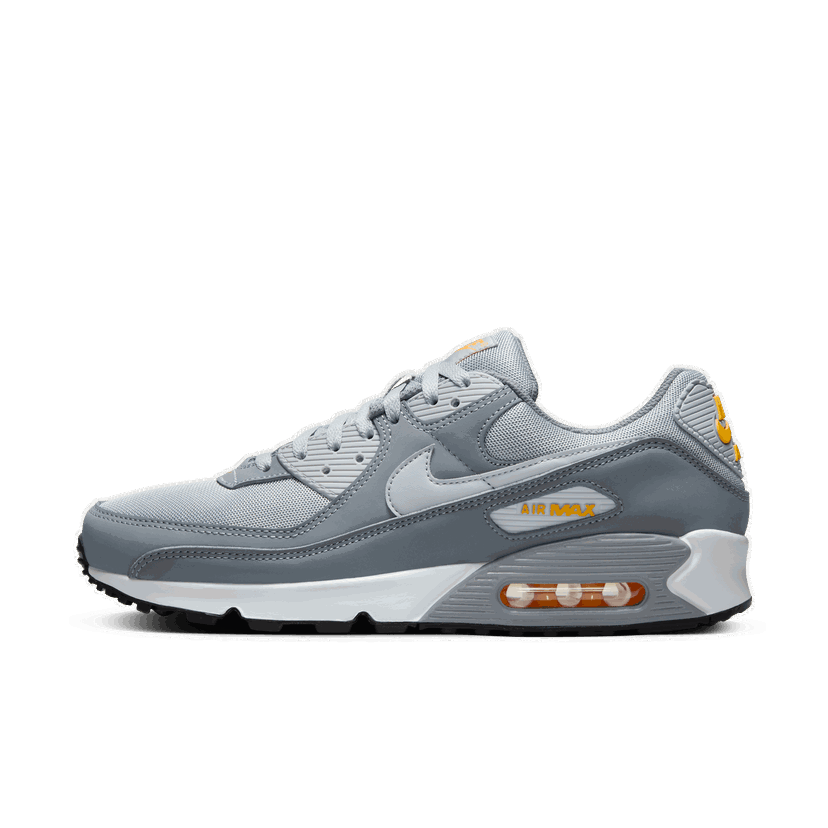 Sneakers och skor Nike Air Max 90 Grå | HV6224-002