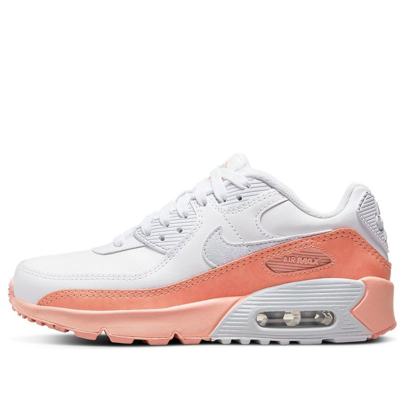 Sneakers och skor Nike Air Max 90 Leather SE Vit | DM0956-100