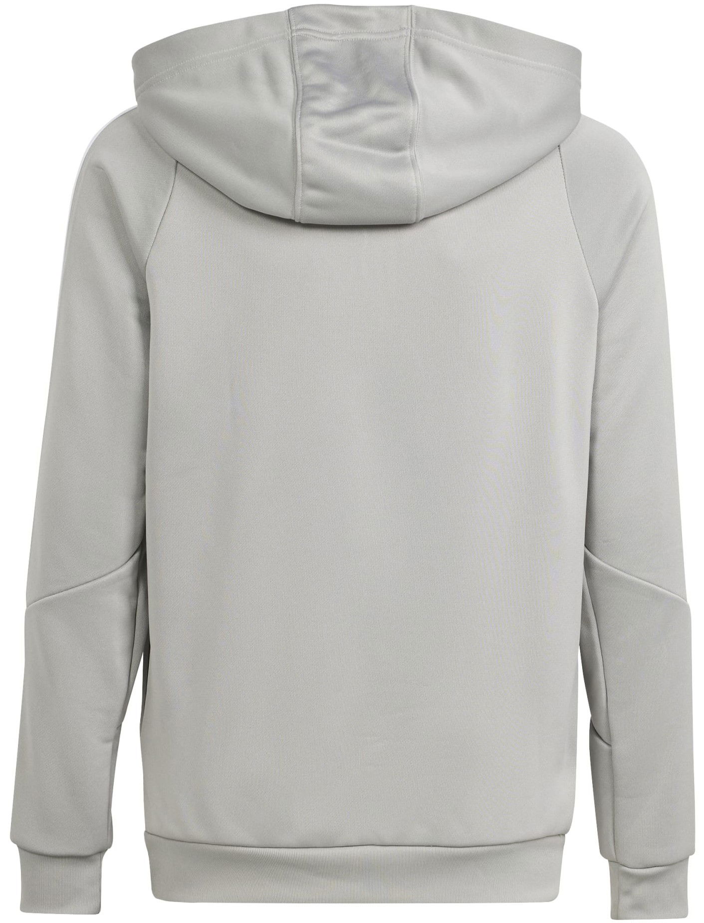 Sweatshirt adidas Performance TIRO24 TRHOODY Grå | ir9401, 1