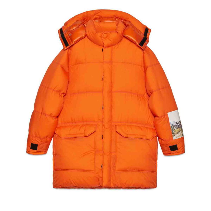 Pufferjacka Gucci The North Face x Down Jacket Orange Orange | 663751 XLWF0 6677