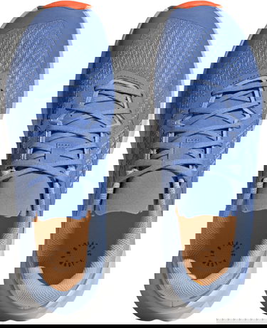 Sneakers och skor adidas Performance TERREX SOULSTRIDE FLOW Blå | hp5565, 1