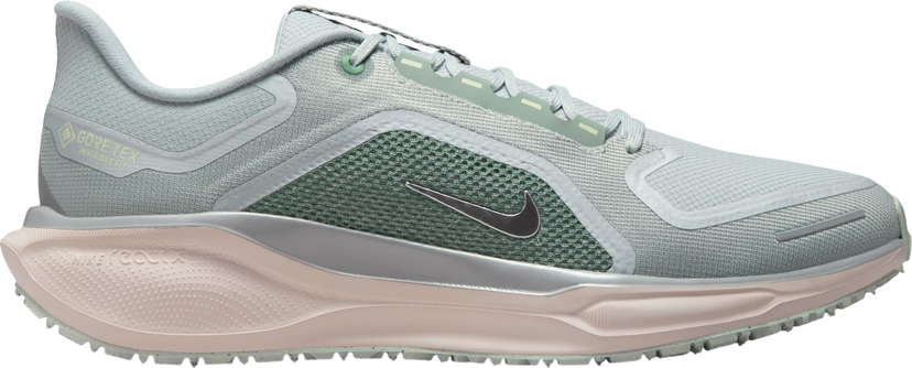 Sneakers och skor Nike Pegasus 41 GORE-TEX Flerfärgad | fq1356-007