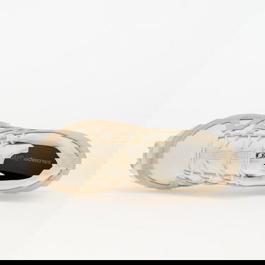 Sneakers och skor Salomon SPEEDCROSS 3 EXPANSE Beige | L47603900, 3