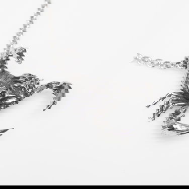 Halsband Wasted Paris U Bane Universal Scorpion Necklace Metallisk | WP_000314, 1