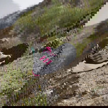 Sneakers och skor adidas Performance TRAILMAKER 2 GORE-TEX Grå | IE4841, 2