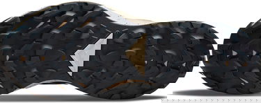 Sneakers och skor Nike Pegasus Trail 3 GTX Turkos | dc8794-003, 1