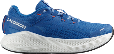 Sneakers och skor Salomon Salomon Aero Glide 3 Blå | l47810500, 0