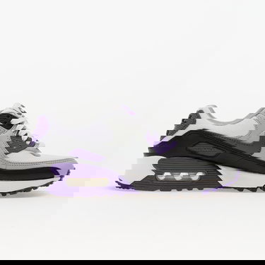 Sneakers och skor Nike Air Max 90 NN Purpur | DH8010-110, 2